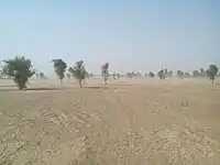 A view of desert area of Kachho