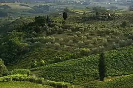 A view of the Chianti countryside