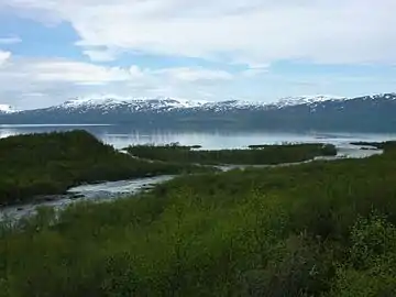 A river flowing into a lake, snowy mountains in the background.