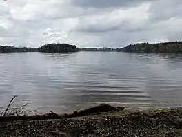 A lake surrounded by trees