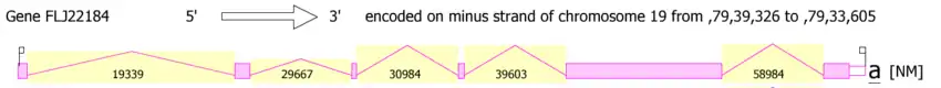 Splicing of FLJ22184/PRR36 gene for transcript variant 1