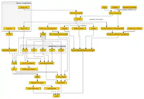 Image illustrating a flowchart of the pathophysiology of acne