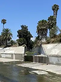 Adams Channel enters Ballona