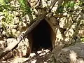 Entrance to natural spring (now dry), Ain et-Tannur, in valley below Mata