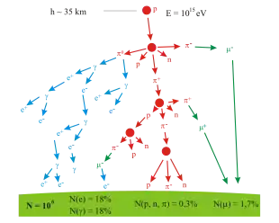 A branching tree representing the particle production