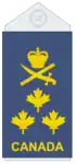 Uniform shirts (old insignia)