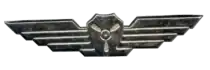 Air Crew chief's Badge