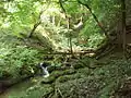 Akasaki-higashitani valley, tributary of Yura river (Asiu Forest, Field Science Education and Research Center, Kyoto University)