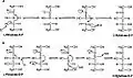 Aldol and dehydration mechanisms