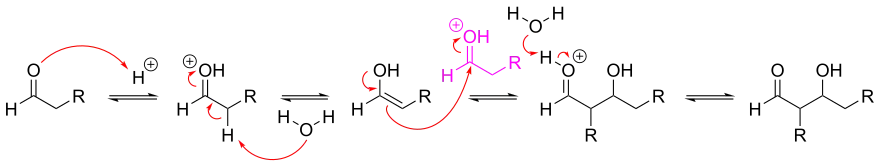 Mechanism for acid-catalyzed aldol reaction of an aldehyde with itself