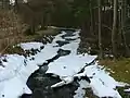 Breakachy Burn with surrounding trees, after a blizzard on the hills