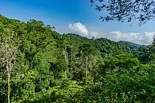 a landscape photo of Amani Forest Reserve