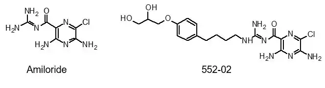 Side-by-side comparison of the chemical structures of amiloride and one of its analogues, research name 552-02 (N-(3,5-diamino-6-chloropyrazine-2-carbonyl)-N'-4-[4-(2,3-dihydroxypropoxy)phenyl]butyl-guanidine methanesulfonate).