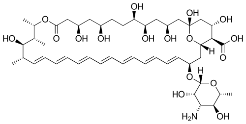 Amphotericin B is an example of a polyene antifungal (antimycotic) agent.