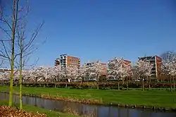 Apartment buildings in Amstelveen