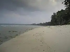 Neil Island on December 26, 2004, after earthquake and tsunami