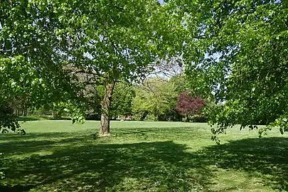 Inside the Parc Forestier