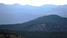 Apache-Sitgreaves National Forest near Luna, New Mexico