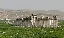 Image 18The "Great Colonnade" marks the cardo maximus of Apamea, Syria. (from History of cities)