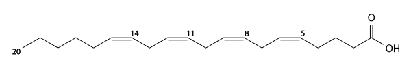 arachidonic acid structure