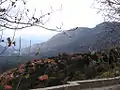 At Arachova looking down the valley