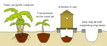 An Arborloo for later planting trees.