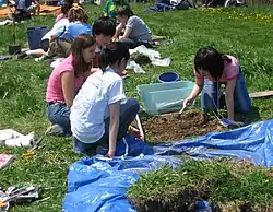 Archaeological Dig