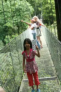 Actual Mistico Arenal Hanging Bridges view.