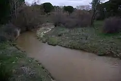 River Arevalillo near Nava de Arévalo