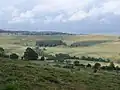 Aubrac landscape