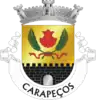 Coat of arms of Carapeços