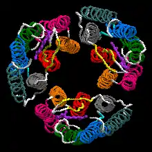 Bacteriorhodopsin  trimer with one retinal molecule in each subunit seen from the extracellular side EC (PDB ID: 1X0S ).