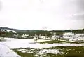 Sheep on a Balbeg farm during the winter of 1996.