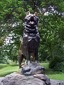 Balto (1925), Central Park, New York City.