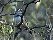 in Ecuador