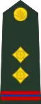 OR-8 insignia