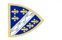 Banner of King Tvrtko I of Bosnia