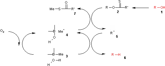 Barton-McCombie deoxygenation reaction mechanism