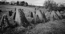 World War II-era anti-tank Dragon's teeth (Aachen, Westphalia, 2011)