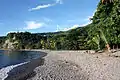 Habitat of Sphaerodactylus fantasticus fuga in Batali beach, western Dominica.