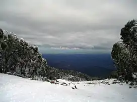 View from the summit of Mt. Baw Baw