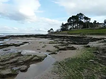 Nairn Far West Beach