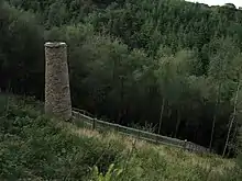 Ironstone mine ventilation flue in Chargot Wood, 1150 m south west of Langham Farm