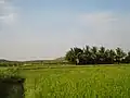 Agriculture fields at South side of KLD Taluq.