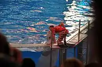 Beluga "kissing" a human trainer; both are monotypical in their genera.