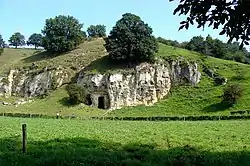 Marl of the Bemelerberg (Bemelen mountain) showing