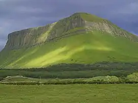 Ben Bulben, Co.Sligo.Templeton collected rare plants here.