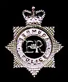 Bermuda Police Force cap badge