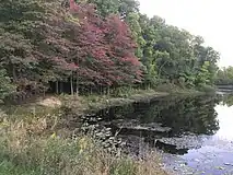 Beyer's Pond, in the Big Creek Reservation, Middleburg Heights.