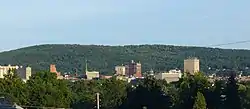 Binghamton